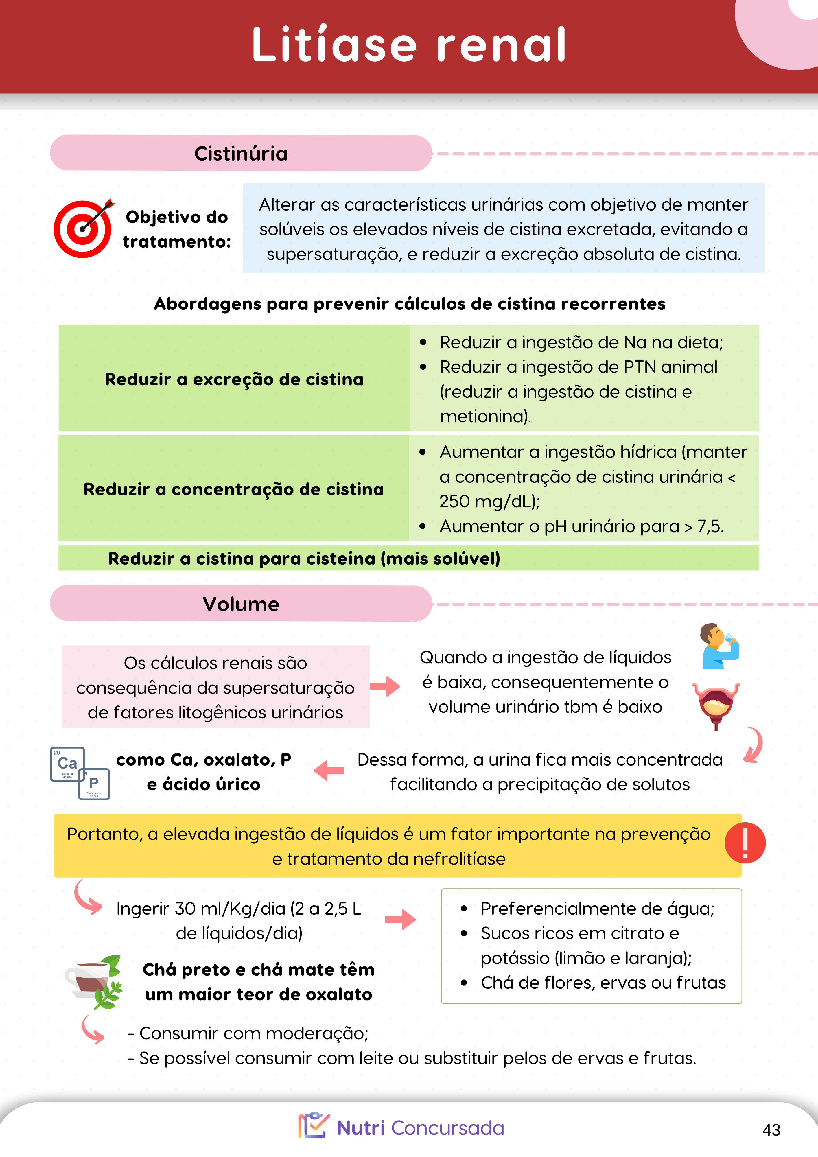 MATERIAL NOVO - DOENÇA RENAL E HEPÁTICA (8)