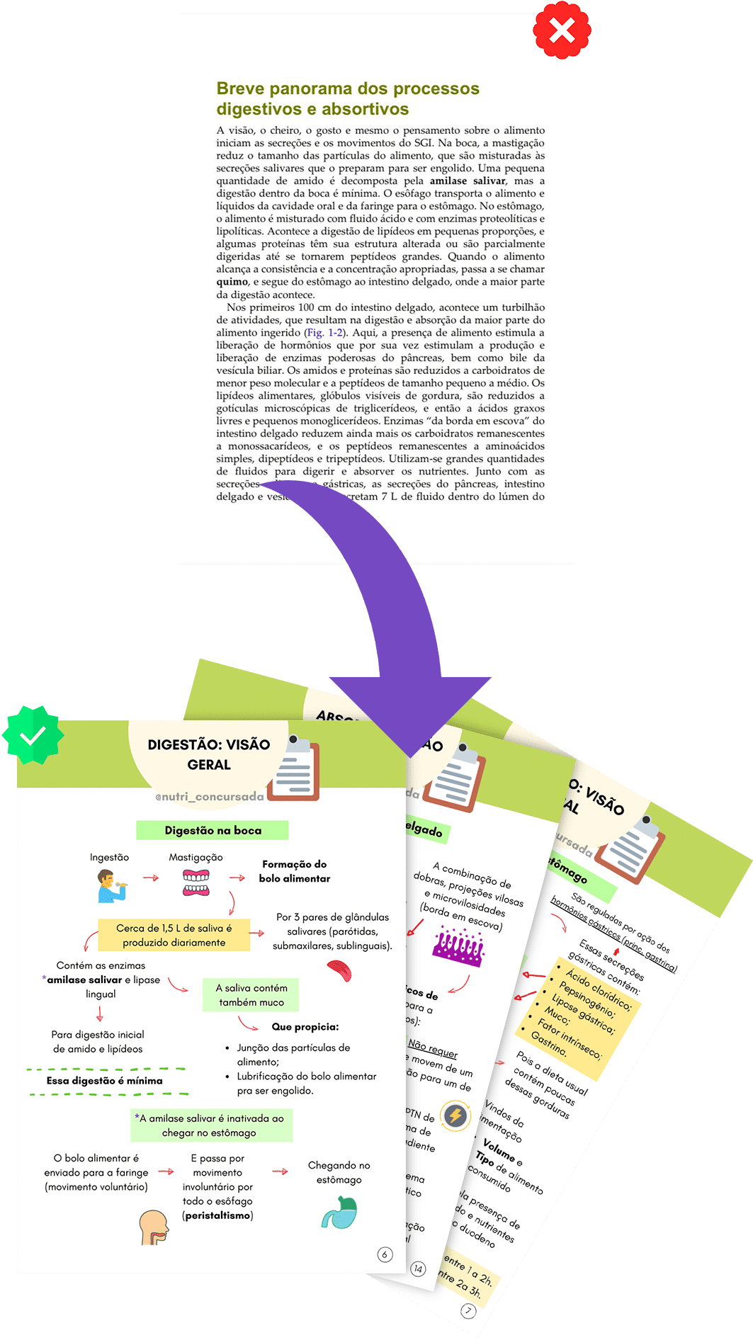 Antes e Depois Mobilibe [RIKECIANE] Princípios nutricionais