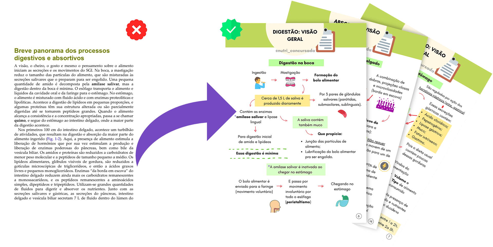 Antes e Depois Produtos [RIKECIANE] Princípios nutricionais